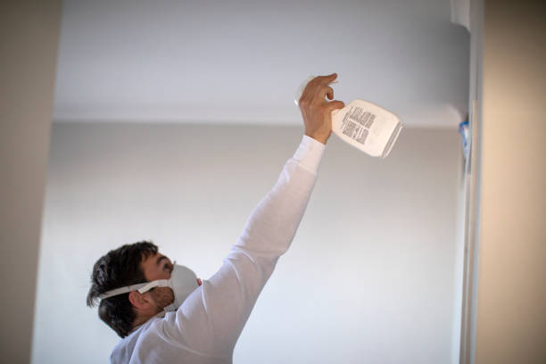 Best Mold Remediation Experts  in Springville, VA