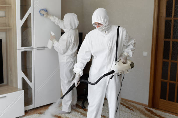 Best Crawl Space Mold Removal  in Springville, VA