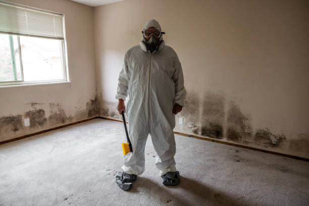 Best Mold Cleaning Services  in Springville, VA